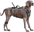 No Pull Dog Harness for Large Dogs