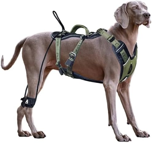 No Pull Dog Harness for Large Dogs