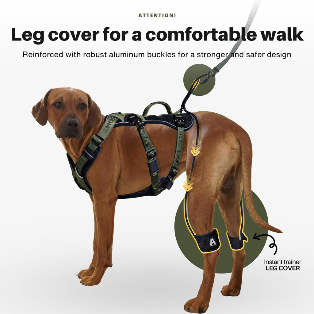 No Pull Dog Harness for Large Dogs