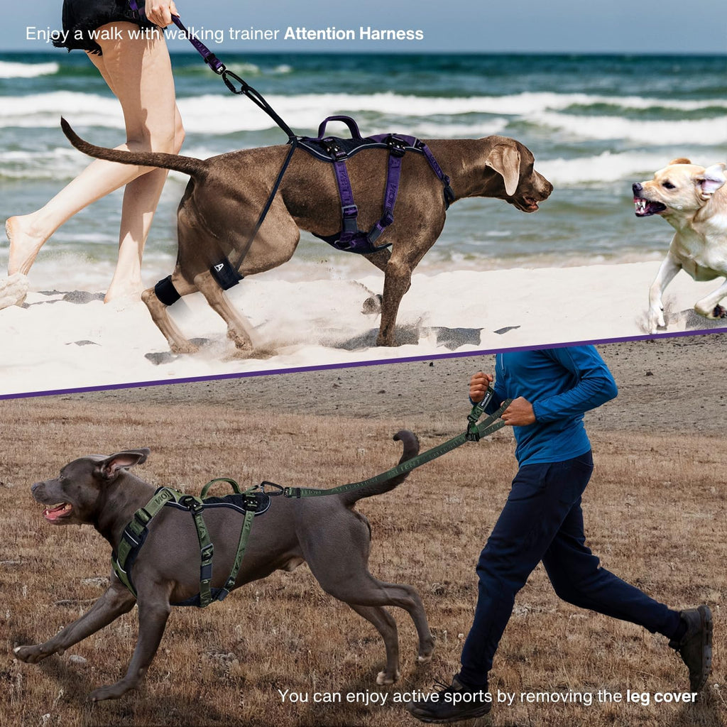 No Pull Dog Harness for Large Dogs
