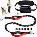 Hands-Free Dog Leash
