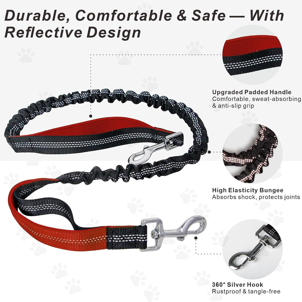 Hands-Free Dog Leash