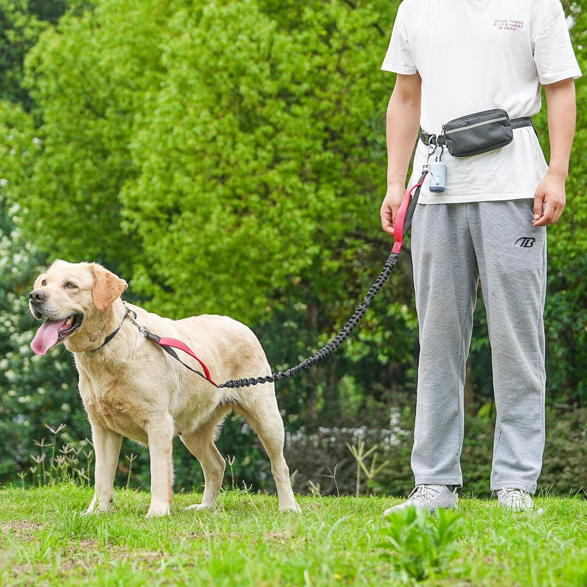 Hands-Free Dog Leash