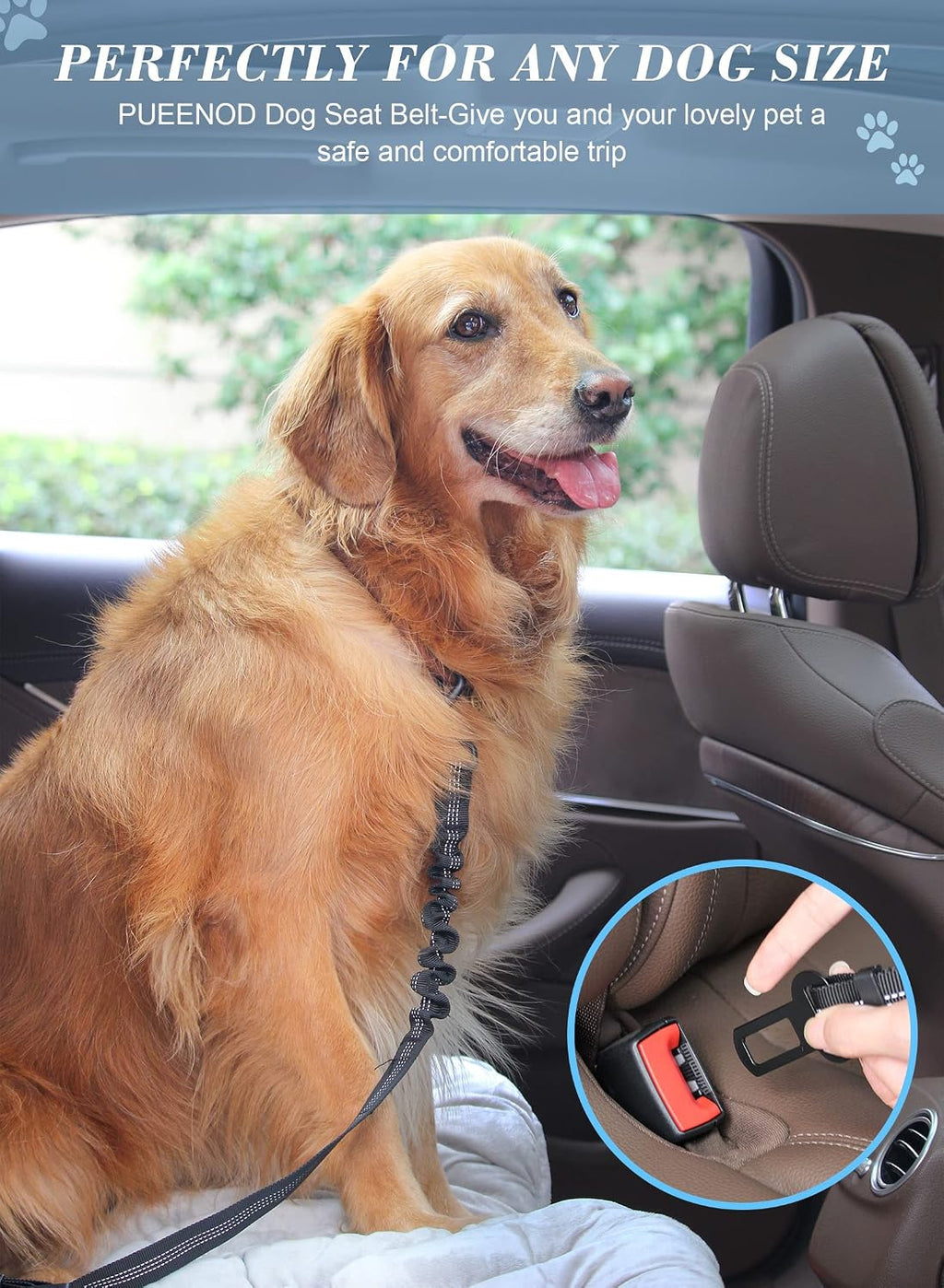 2 Pack Dog Seat Belt