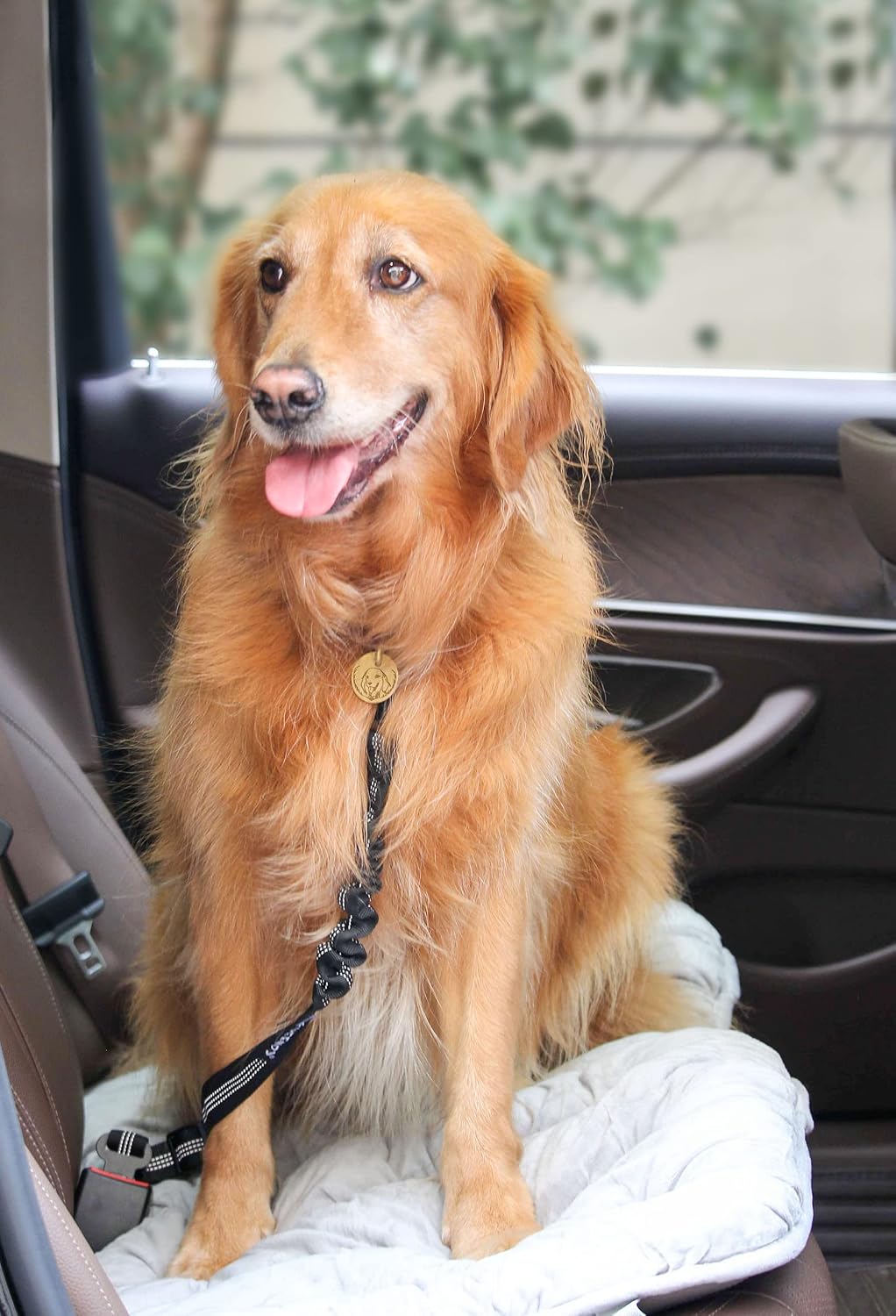 2 Pack Dog Seat Belt
