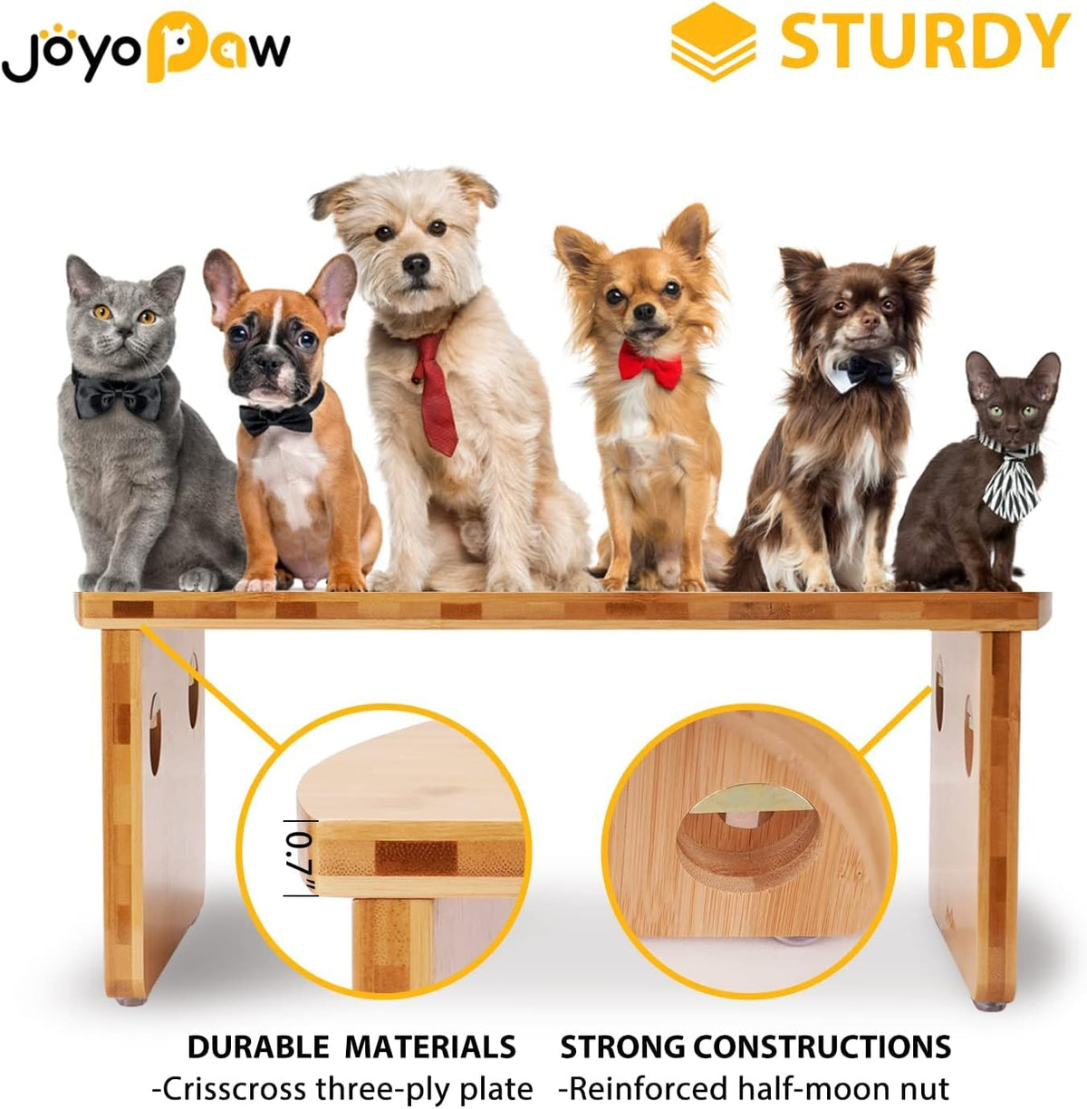 Elevated Dog Bowls