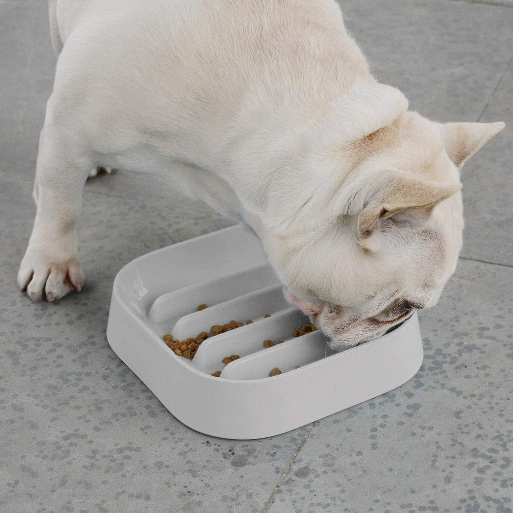 Healthy Slow Feeding Dog Bowl for French Bulldog