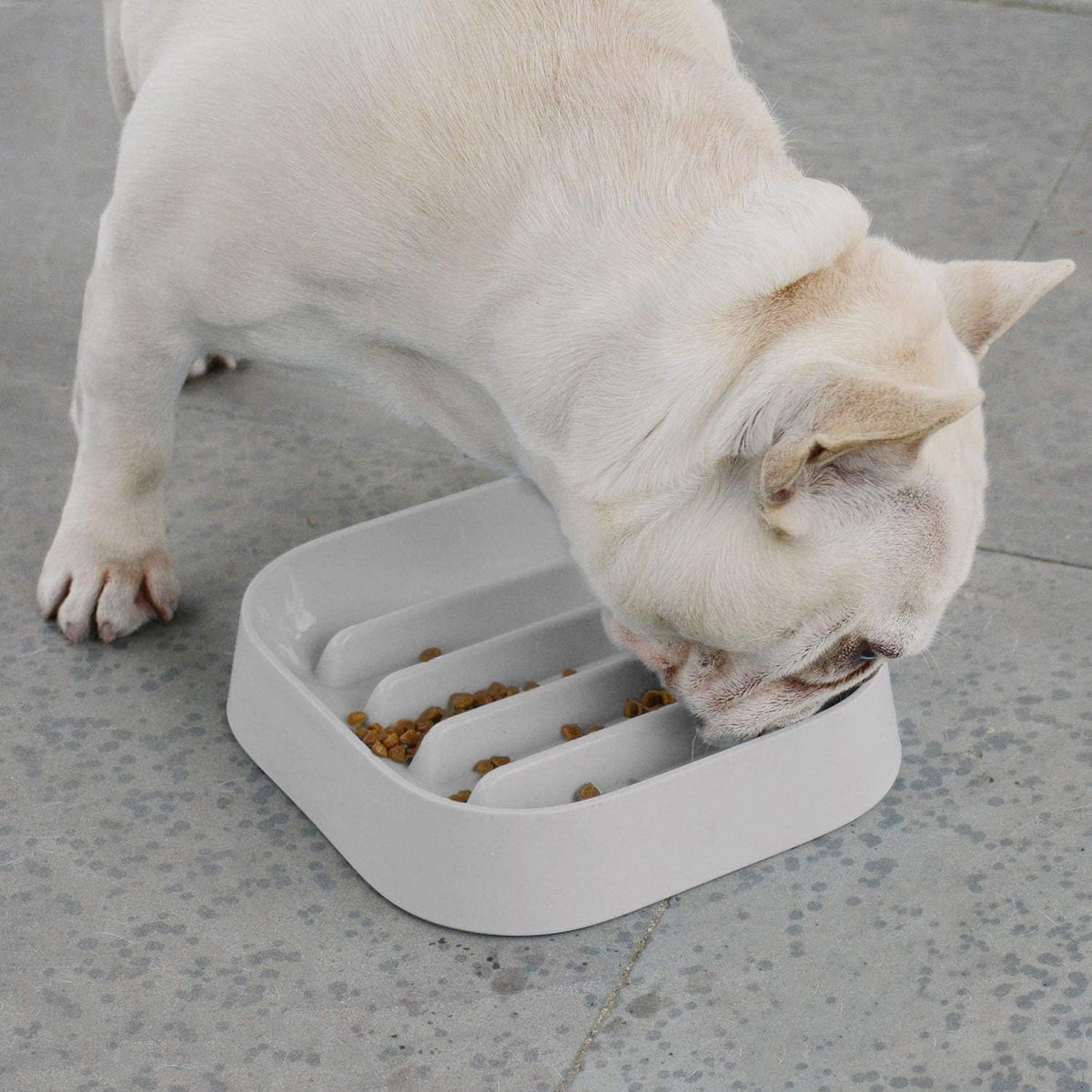 Healthy Slow Feeding Dog Bowl for French Bulldog