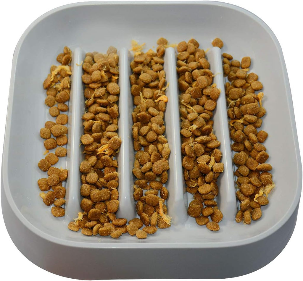Healthy Slow Feeding Dog Bowl for French Bulldog