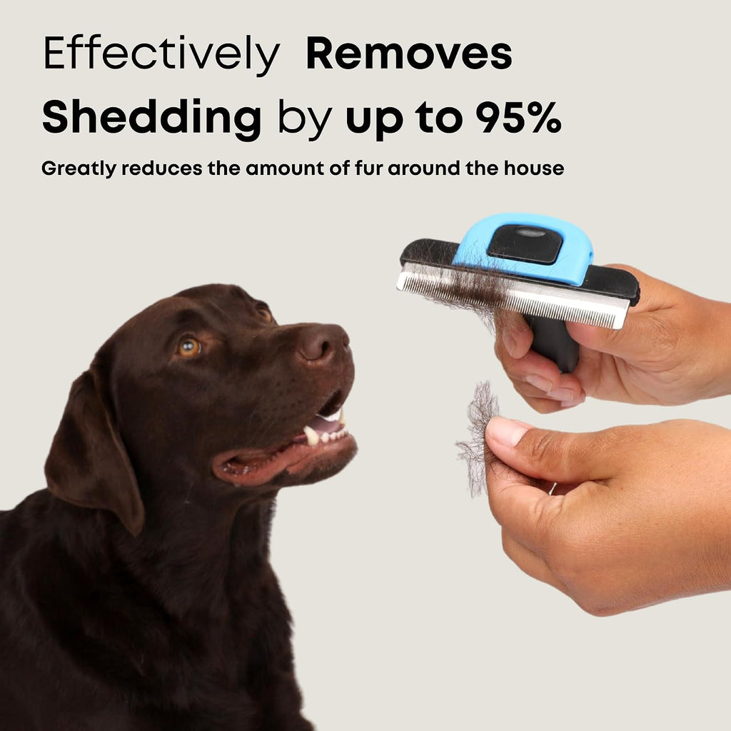 Short Hair Deshedding Brush for Dogs & Cats