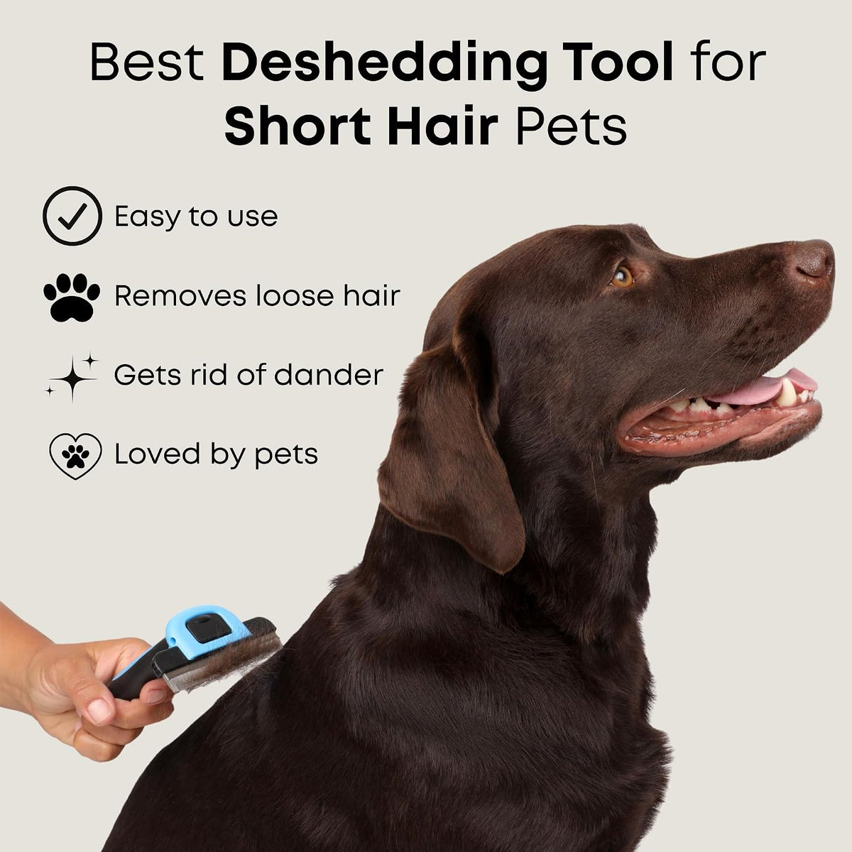 Short Hair Deshedding Brush for Dogs & Cats