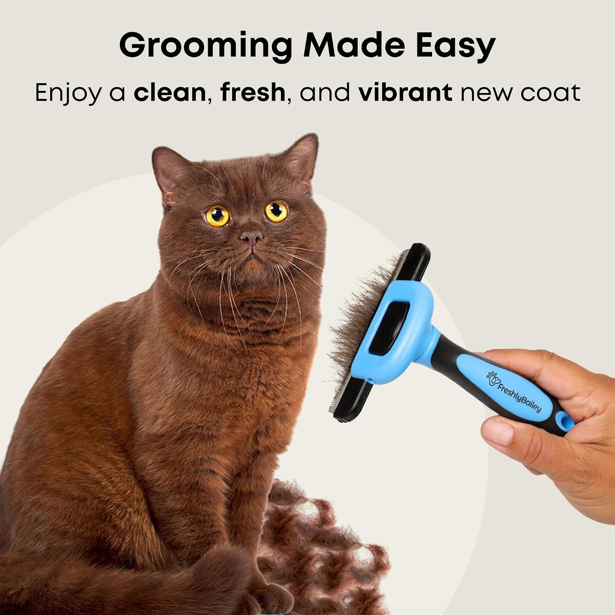 Short Hair Deshedding Brush for Dogs & Cats