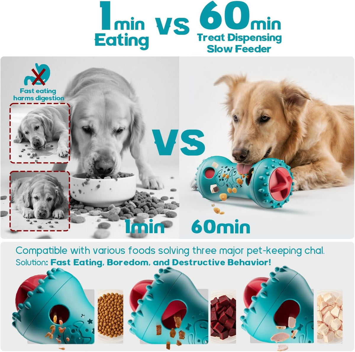 Interactive Dog Toy
