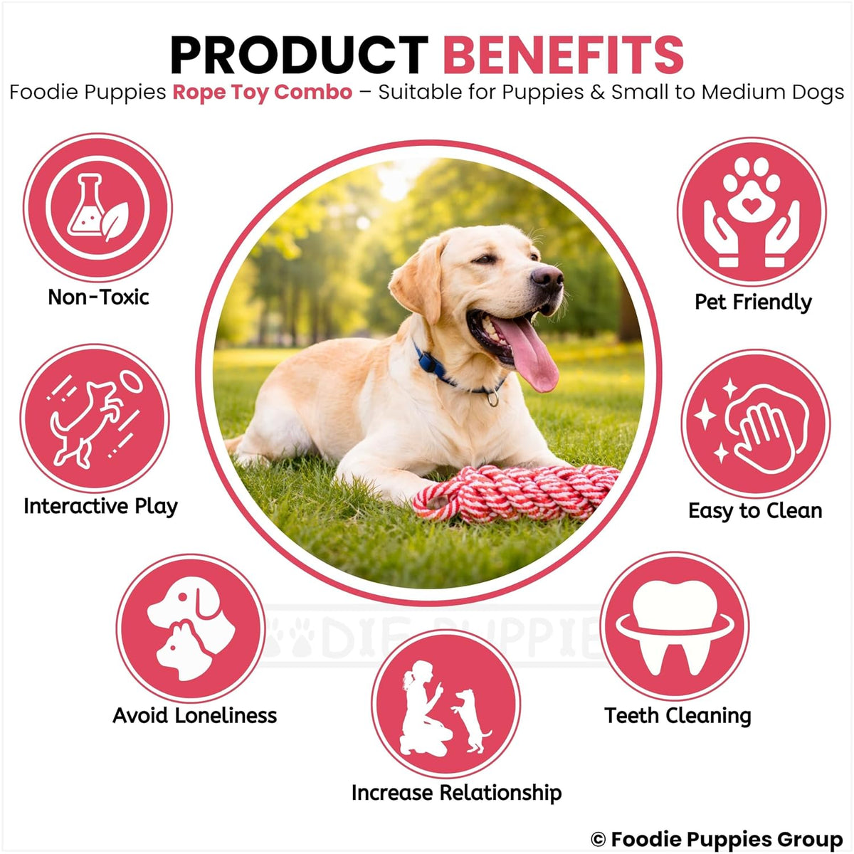 Foodie Puppies Interactive Dog Cotton Rope Chew Toy