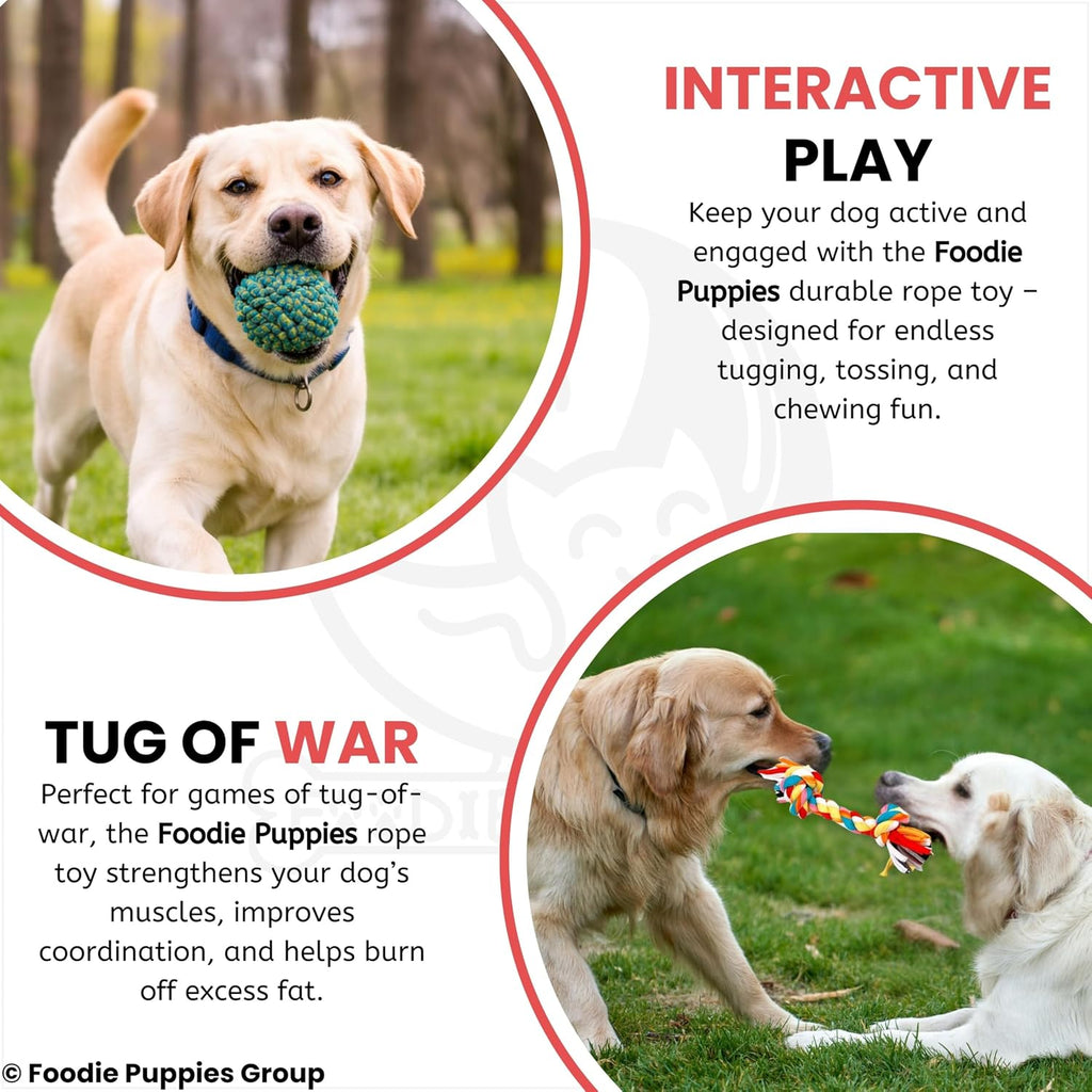 Foodie Puppies Interactive Dog Cotton Rope Chew Toy