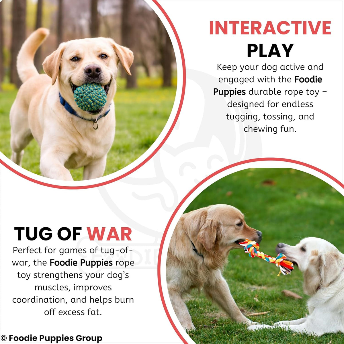 Foodie Puppies Interactive Dog Cotton Rope Chew Toy