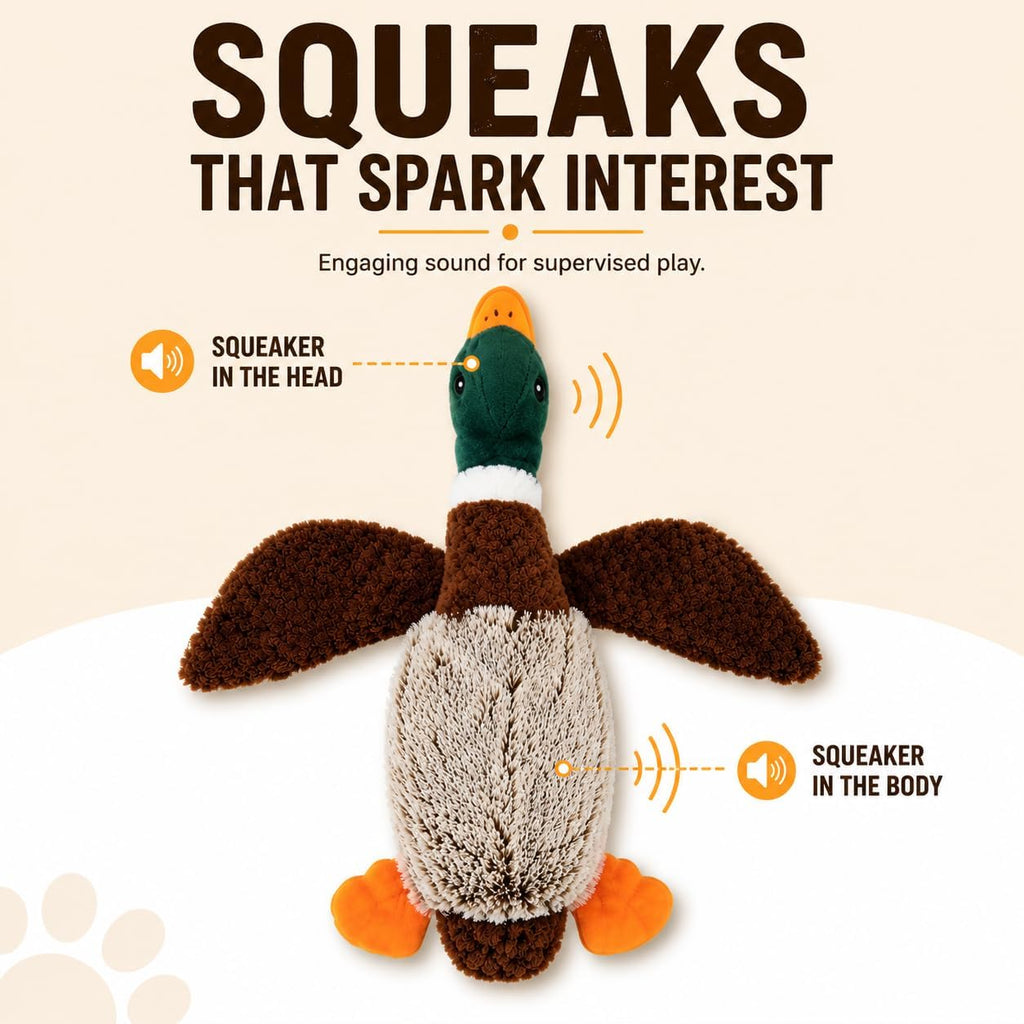 Duck Dog Toy Squeak Toy