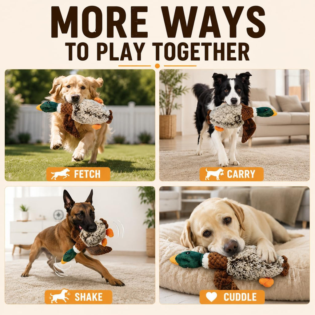 Duck Dog Toy Squeak Toy