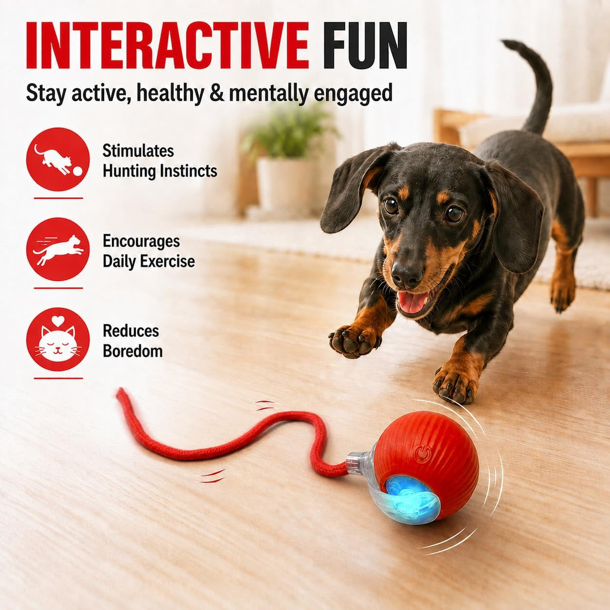 Interactive Automatic Rolling Ball Cat Dog Toy